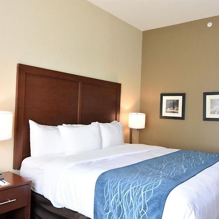 Comfort Inn & Suites Rock Hill Exterior foto